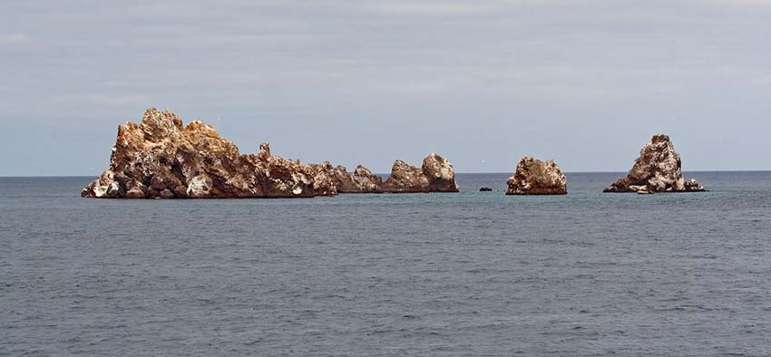 galapagos17