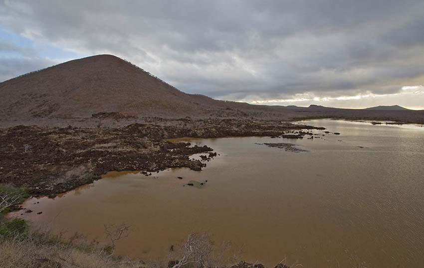 galapagos18