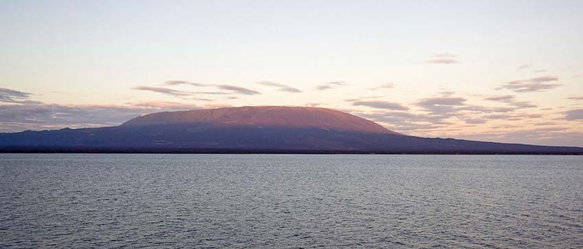 galapagos19