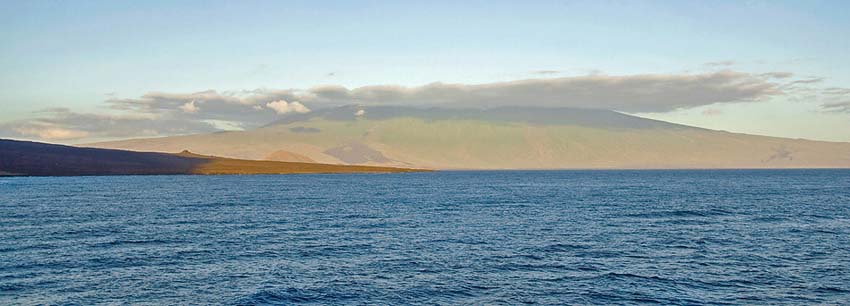 galapagos35a