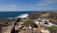 galapagos14