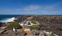 galapagos15