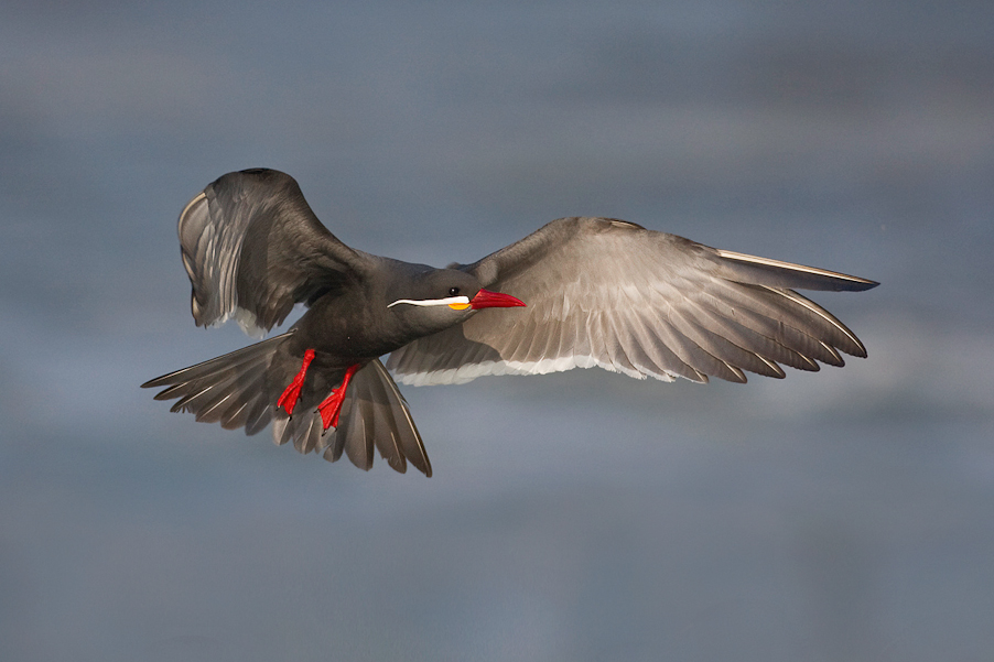 1/2500 sec at f / 4.5