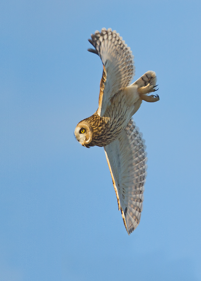 1/2000 sec at f / 5.0