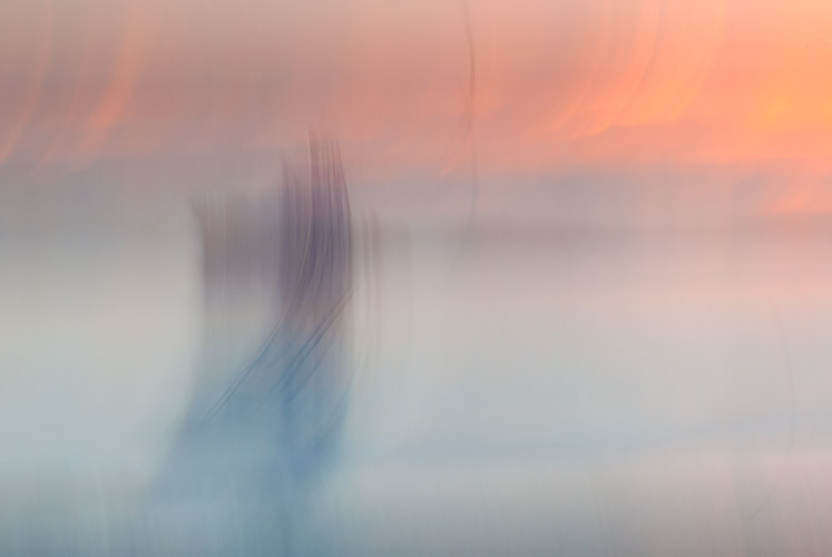 _MG_8942