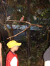 Dscf0216.jpg (81436 bytes)