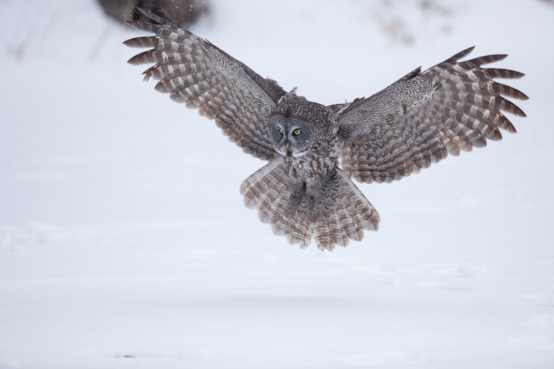 1/1600 sec at f / 3.5