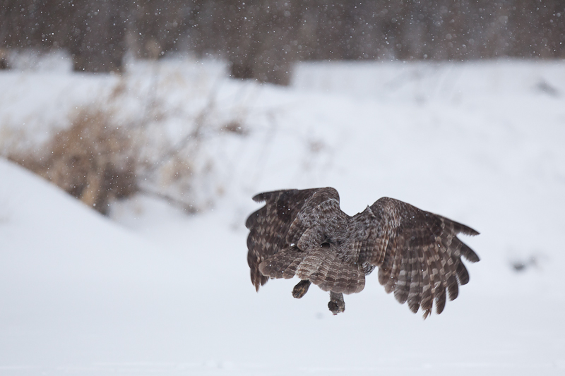 1/1600 sec at f / 3.5