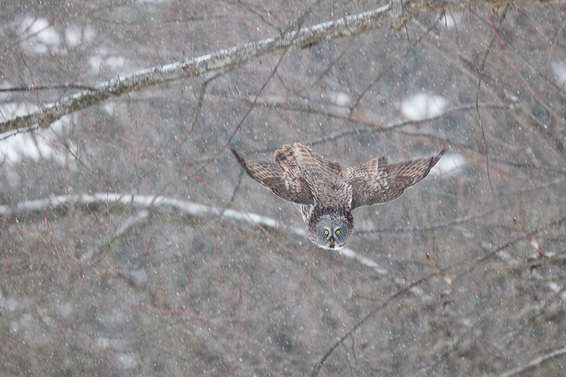 1/400 sec at f / 3.5