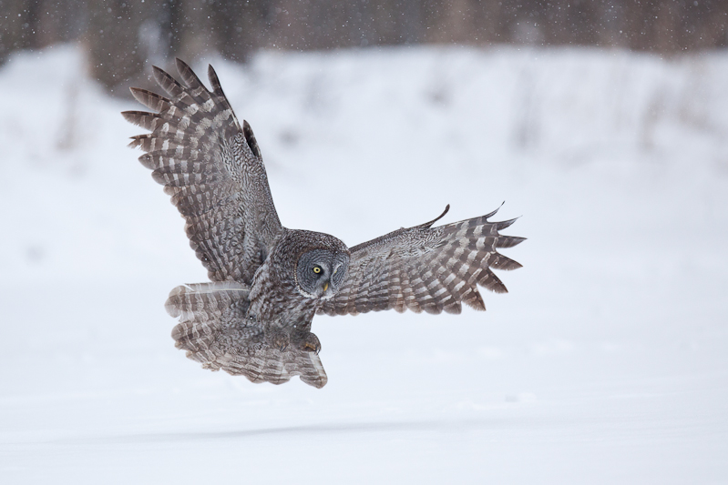 1/2000 sec at f / 3.5