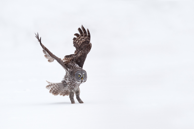 1/2500 sec at f / 3.5