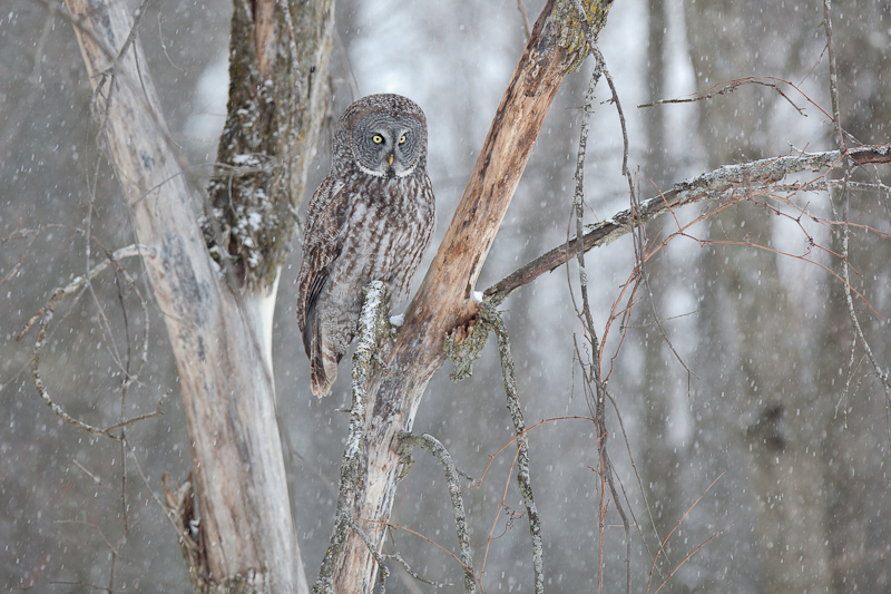 1/200 sec at f / 4.0