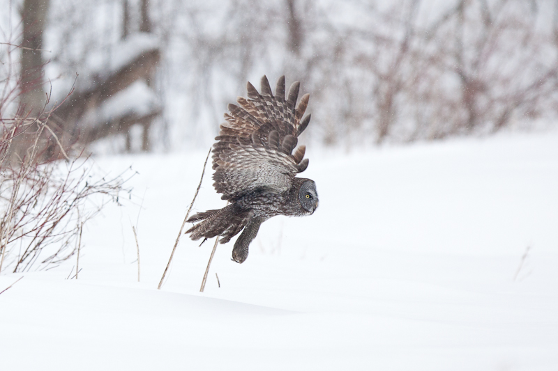 1/1250 sec at f / 3.2
