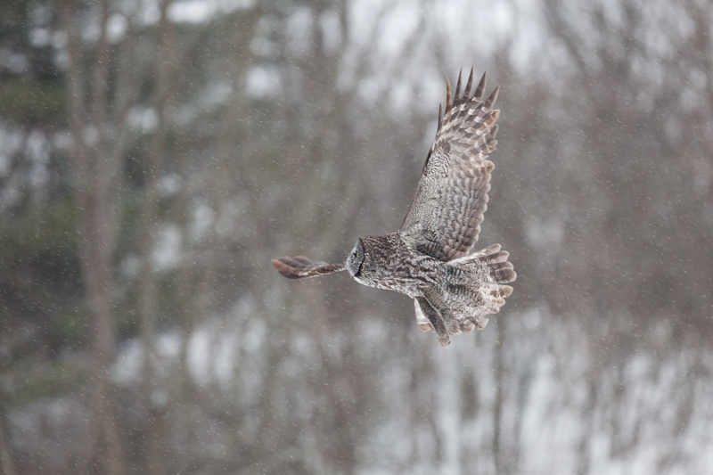 1/800 sec at f / 3.2
