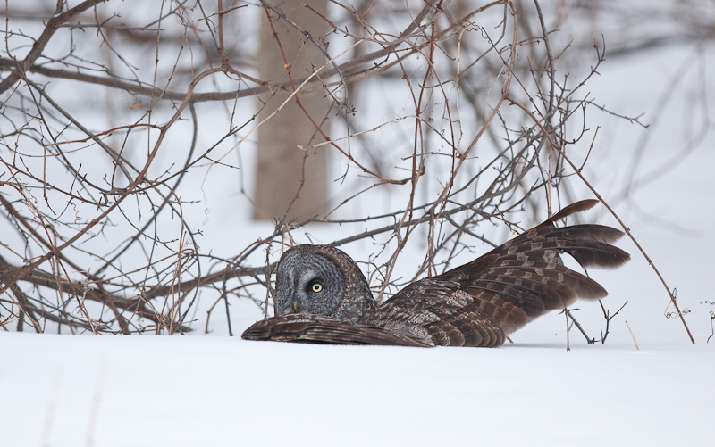 1/3200 sec at f / 2.8