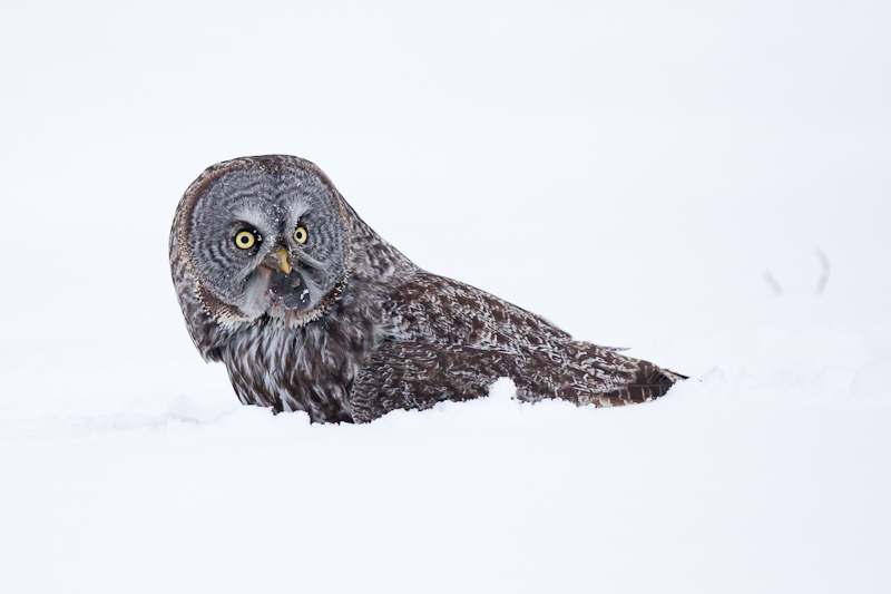 1/4000 sec at f / 3.2