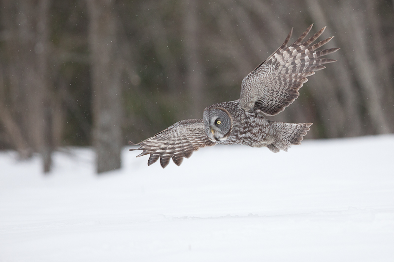 1/2000 sec at f / 3.2