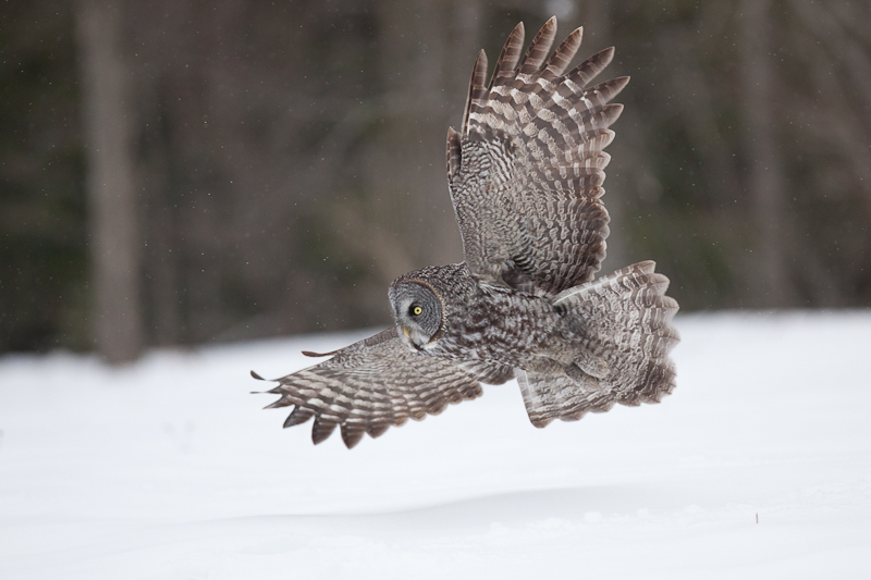 1/2500 sec at f / 3.2