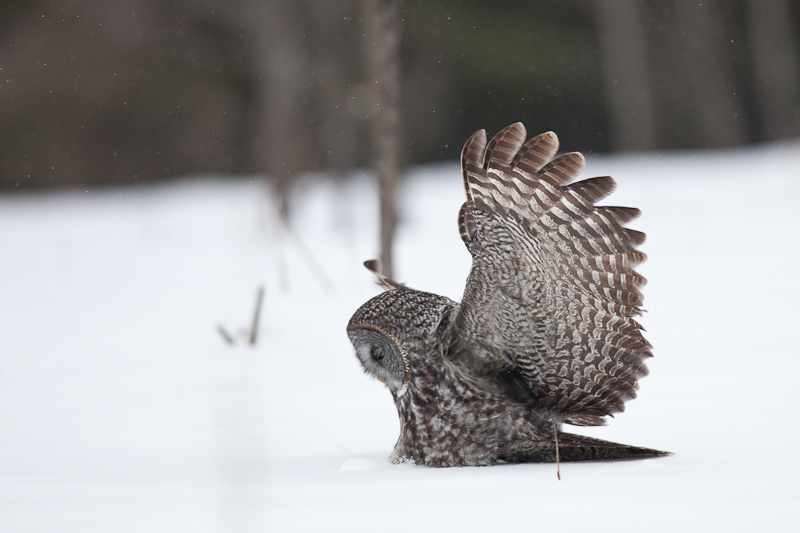 1/2500 sec at f / 3.2