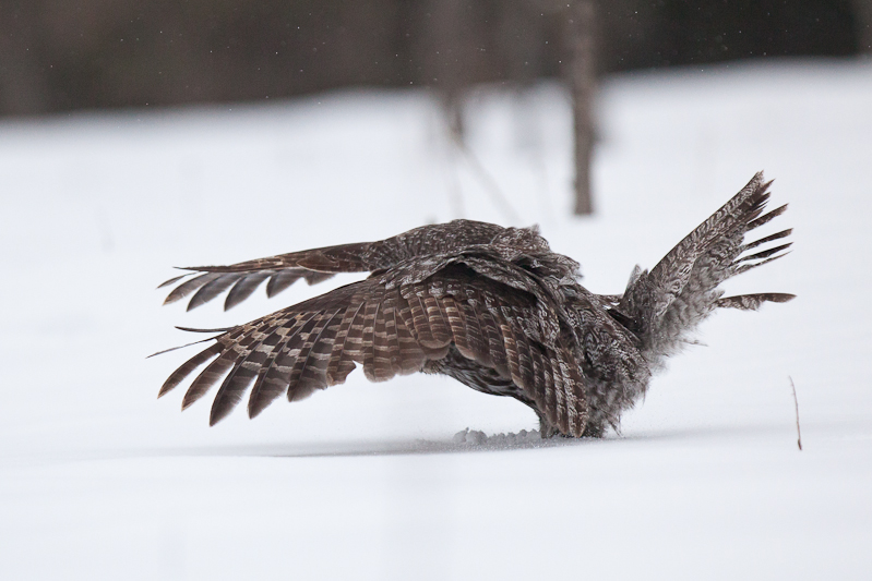 1/5000 sec at f / 3.2