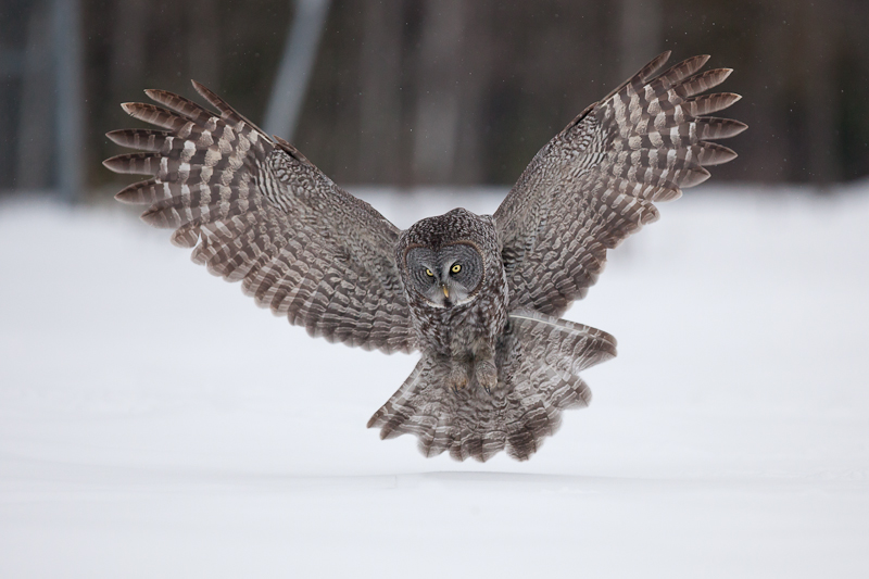1/3200 sec at f / 3.2