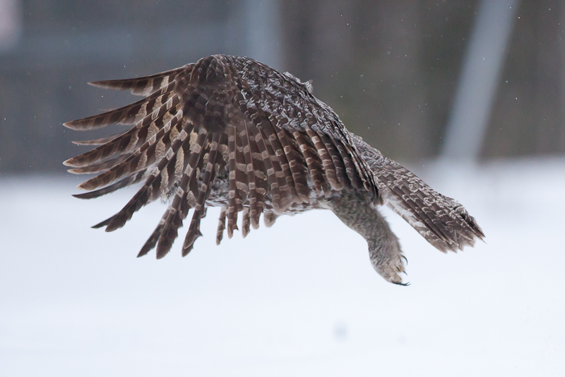 1/5000 sec at f / 3.2
