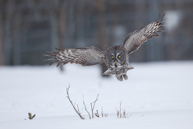1/2500 sec at f / 3.2