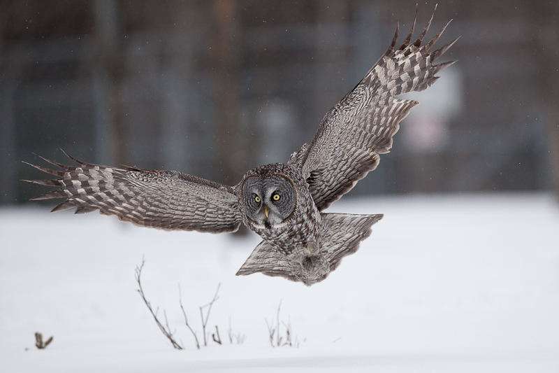1/2500 sec at f / 3.2