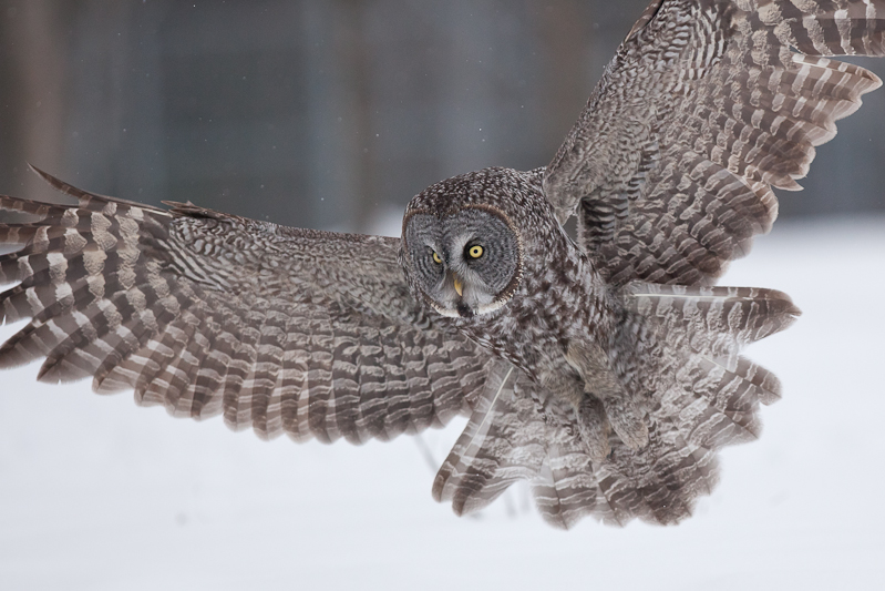 1/2500 sec at f / 3.2