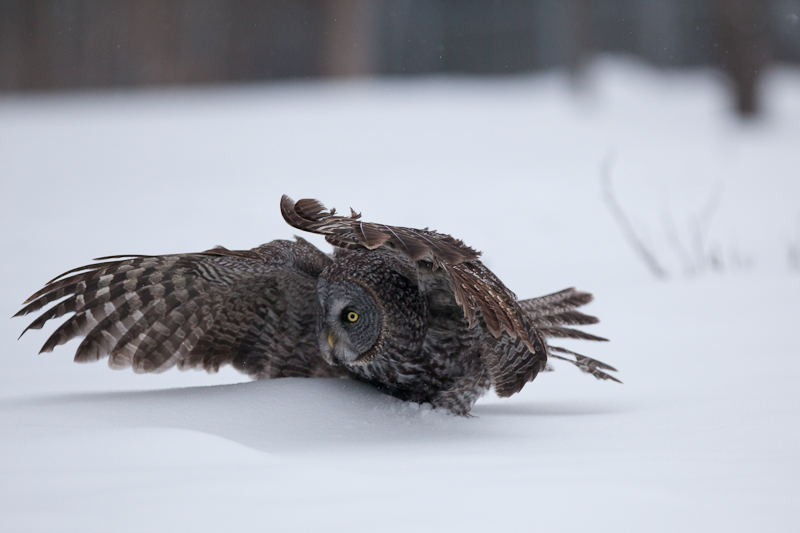 1/2500 sec at f / 3.2