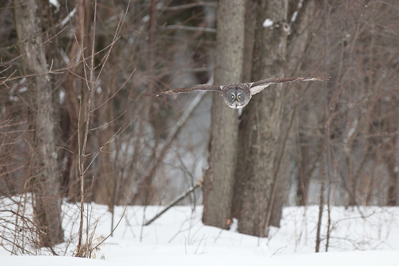 1/1250 sec at f / 3.2