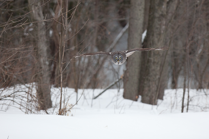 1/2000 sec at f / 3.2