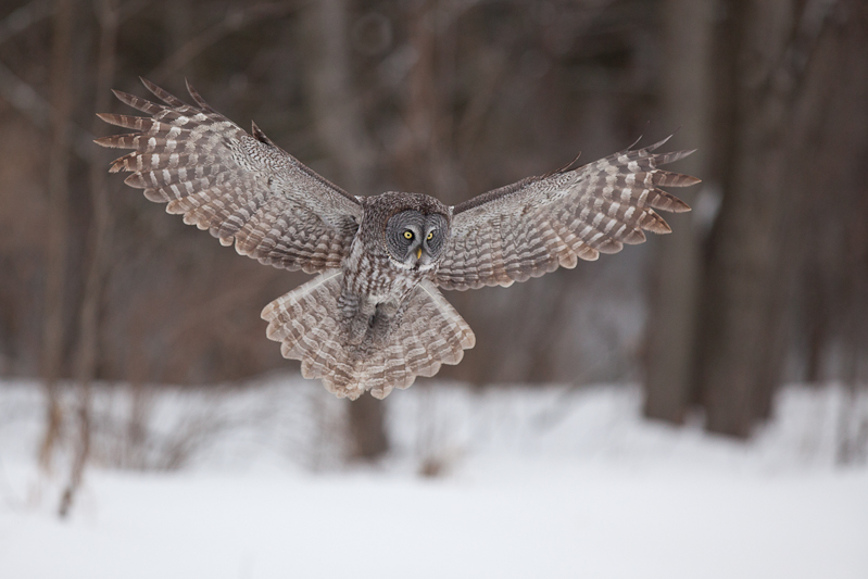 1/4000 sec at f / 3.2