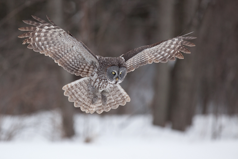 1/2500 sec at f / 3.2