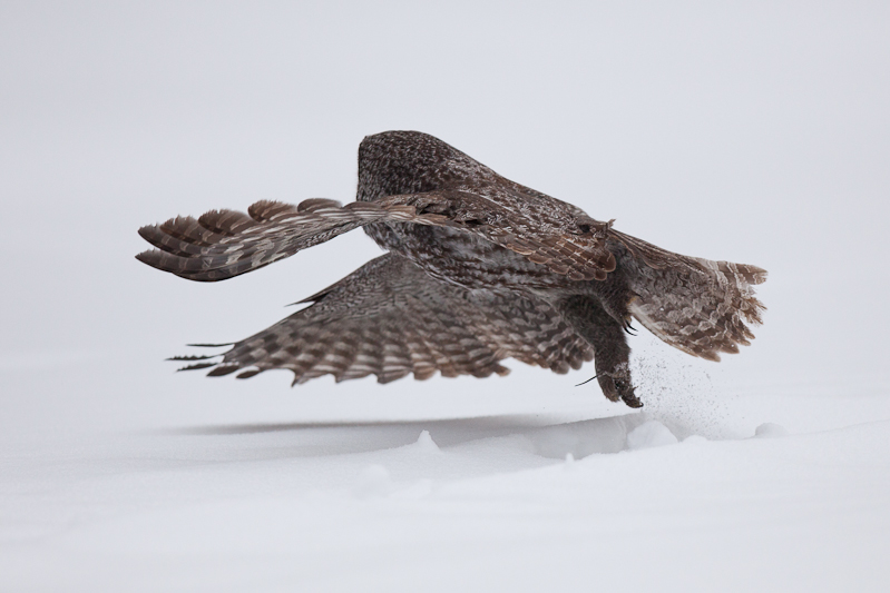 1/8000 sec at f / 3.2