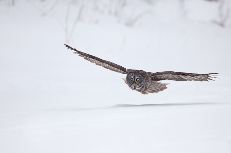1/8000 sec at f / 3.2