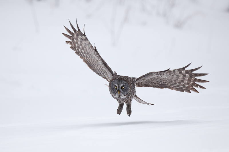 1/8000 sec at f / 3.2