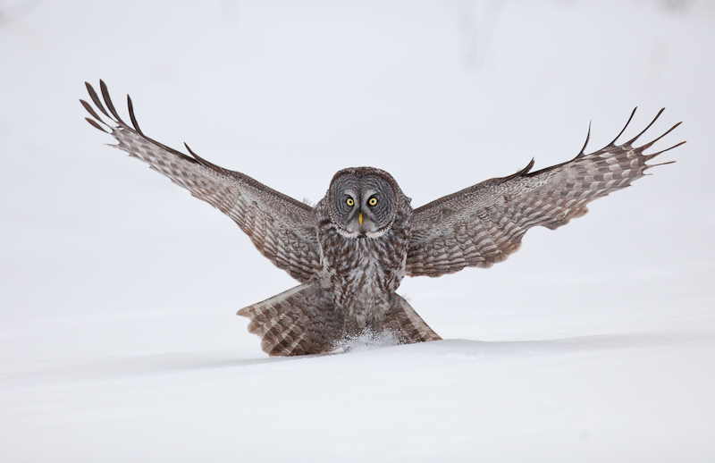 1/8000 sec at f / 3.2