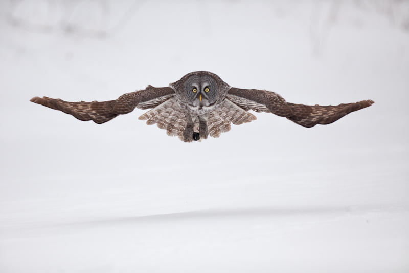 1/8000 sec at f / 3.2