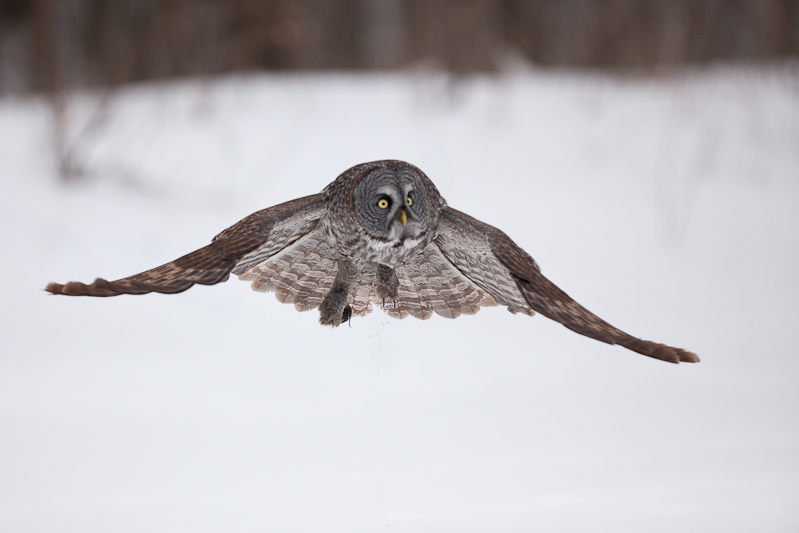 1/8000 sec at f / 3.2