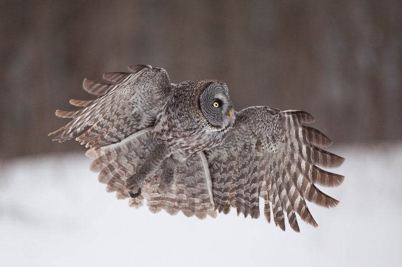 1/5000 sec at f / 3.2