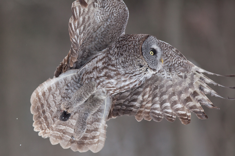1/3200 sec at f / 3.2