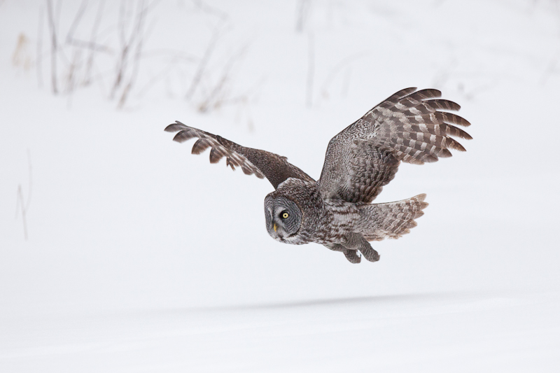 1/8000 sec at f / 4.0