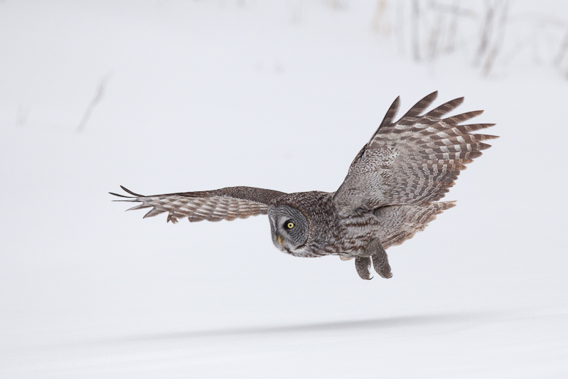 1/6400 sec at f / 4.0