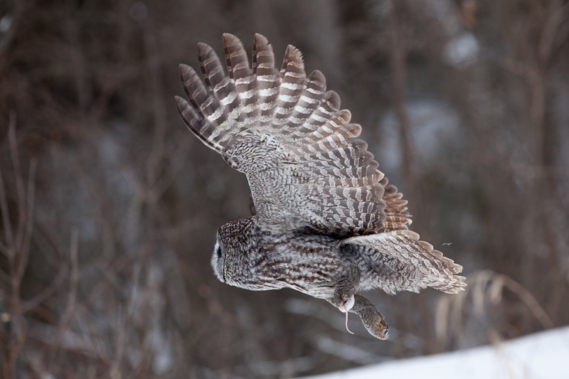 1/2000 sec at f / 4.0