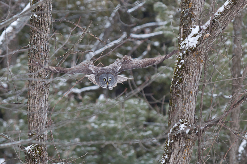 1/1600 sec at f / 3.5