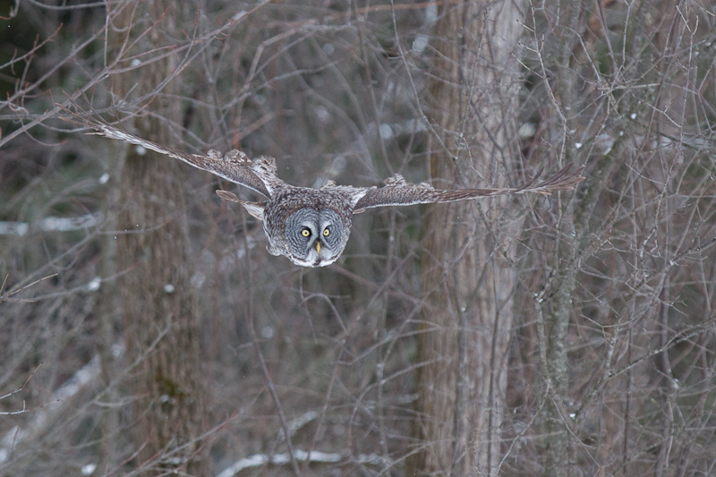 1/1600 sec at f / 3.5