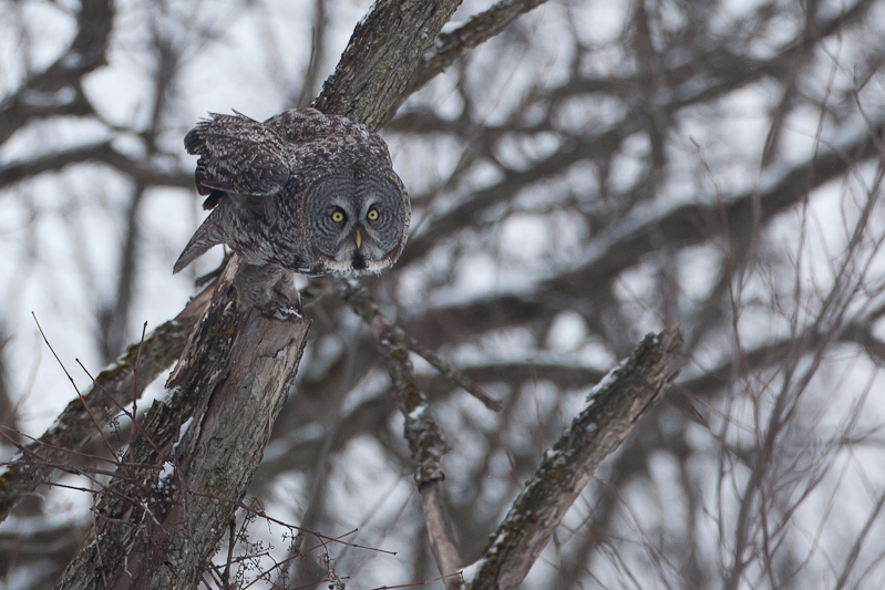 1/1600 sec at f / 5.0