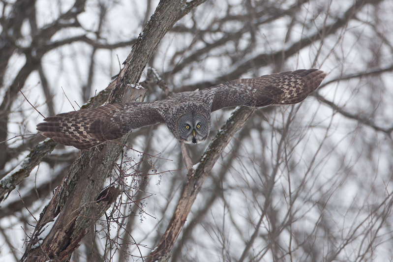 1/1600 sec at f / 5.0