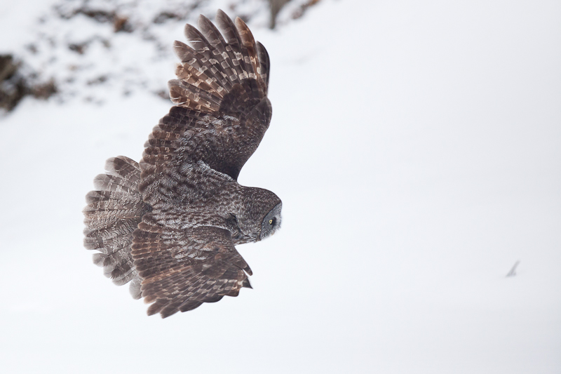 1/5000 sec at f / 3.2